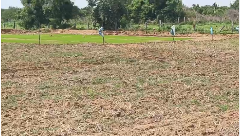 3 Acres Agricultural Land For Sale In Adyandka Puttur