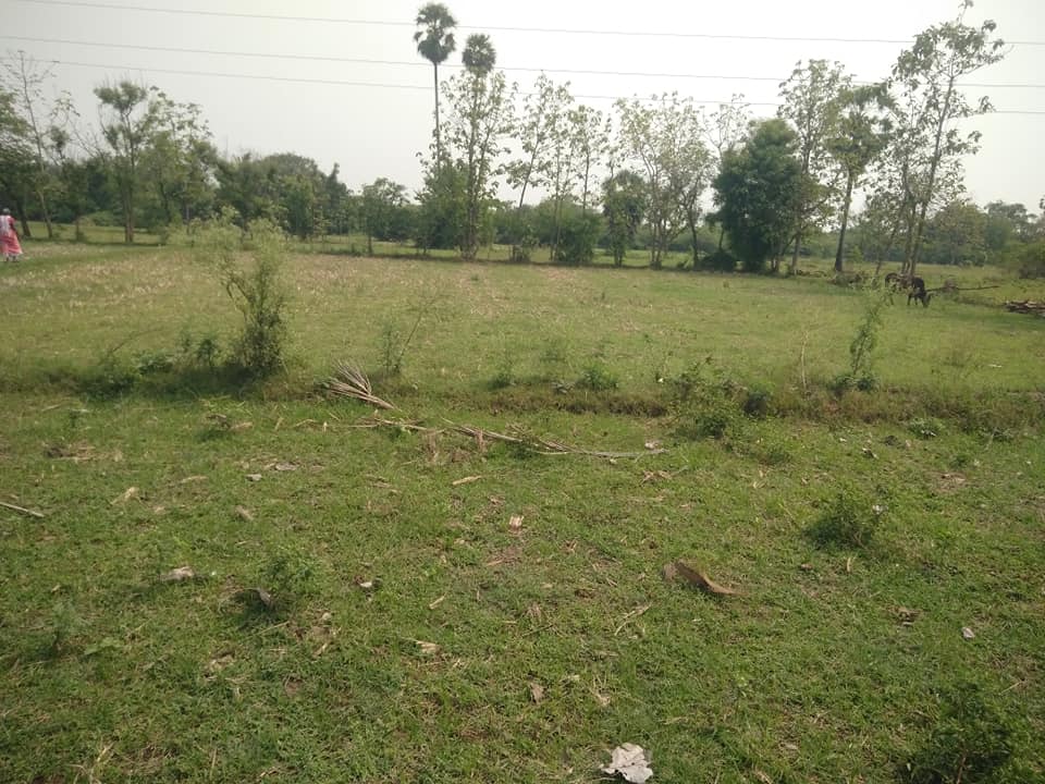 Agriculture Land for sale in Kancheepuram at Chennai