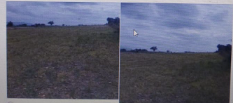 34 guntas Agriculture land for sale in chikkanayakanahalli Tumakuru 