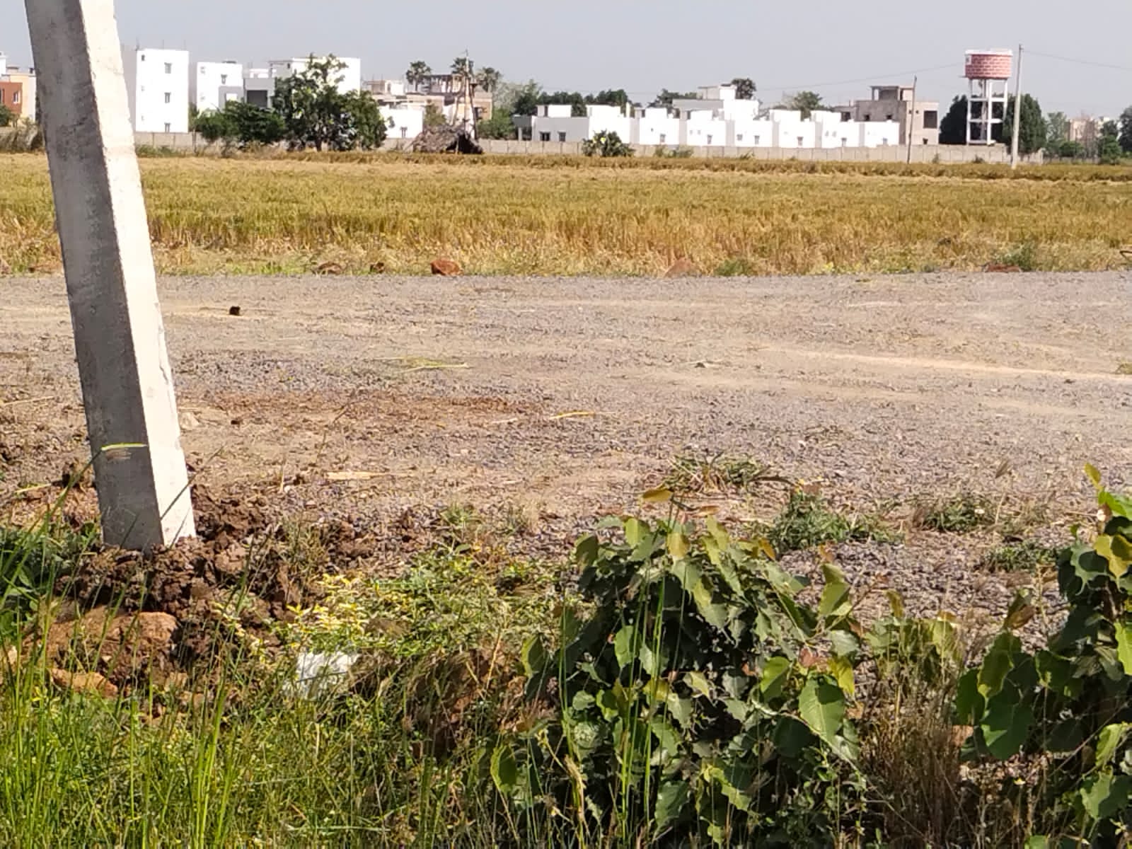 Open Plots for sale in Penamaluru at Vijaywada highway