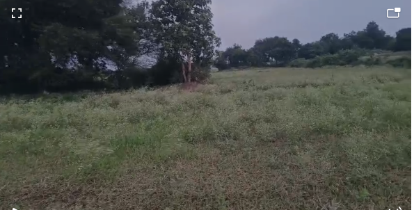  2 Acres Agricultural Land for Sale in Nangunoor Siddipet