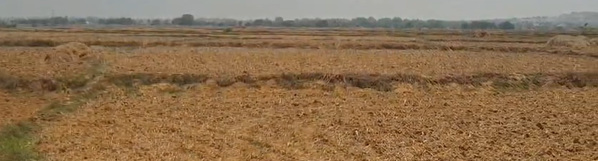 20 Acres Farm Plot For Sale In Pathgai,Kake