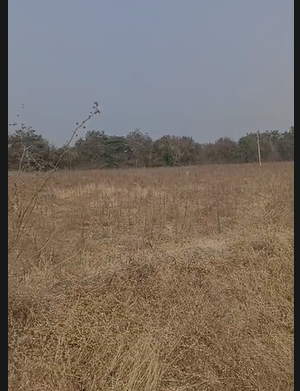 120 Acres Land For Sale At Bommarsipet Medchal