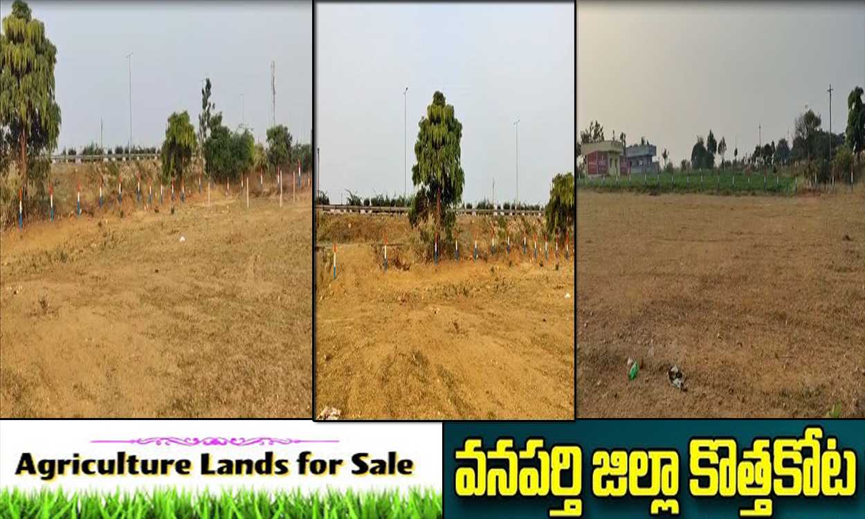 Agriculture Land for sale in Kothakota Highway facing 