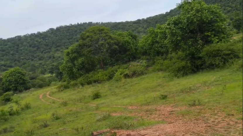 6 Acres land For Sale In Bannimakudlu, near Hunsanahalli, Bangalore