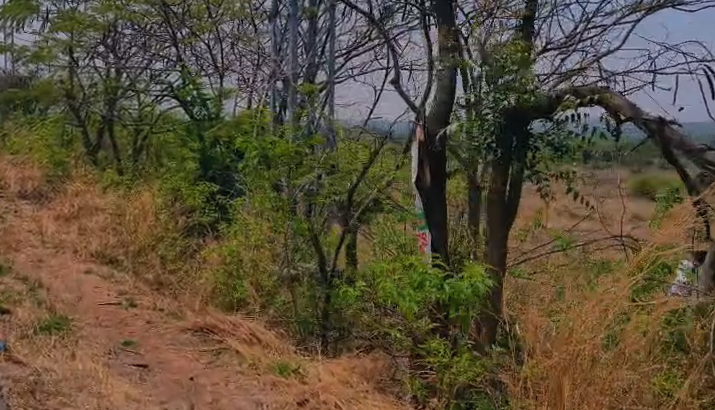Commercial Land For Sale At Kulunoorpally Siddipet