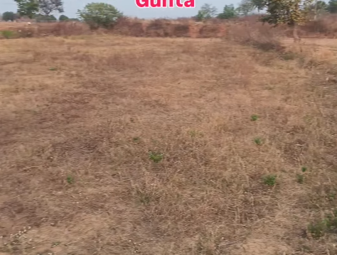 15 Guntas Land For Sale At   kuknoorpalle  Siddipet