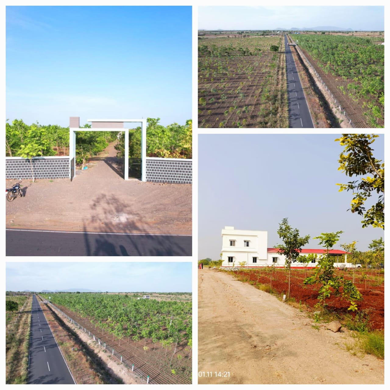 Highway Facing Red Sandal Farm Lands For Sale at Mundlamuru Village - Prakasam District