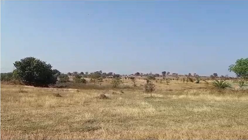 300 Acres Agricultural land for sale  Near Dighori, Taj Bagh, Nagpur, Maharashtra