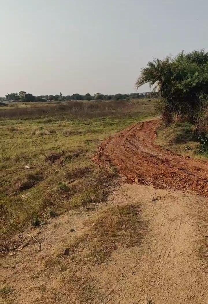 1 Acre Agricultural Land For Sale In Dodlapally Nagar Kurnool