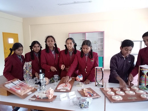 Running CBSE School for sale in South Bangalore. R.R.nagar.