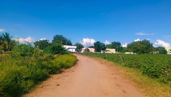 9 Acres Agricultural Land For Sale In Thangadagi Narayanpet