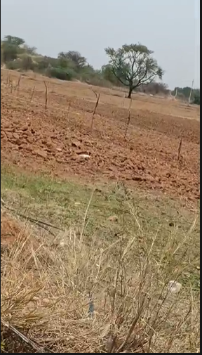 3 Acres Agricultural Land For Sale At Narva