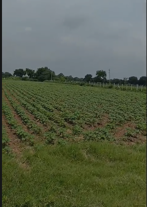 1 Acre 12 Guntas Land For Sale At Devarakadra