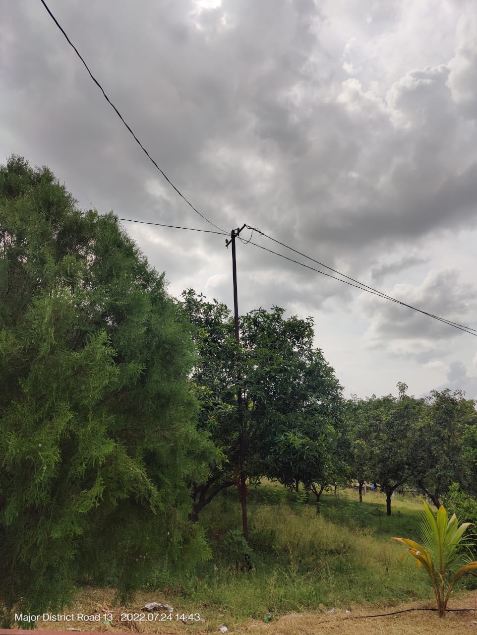 605SQ YDS FARM LAND FOR SALE AT TIRUPATI
