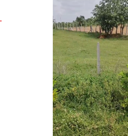 15 Guntas land for sale in  kondapaka Siddipet