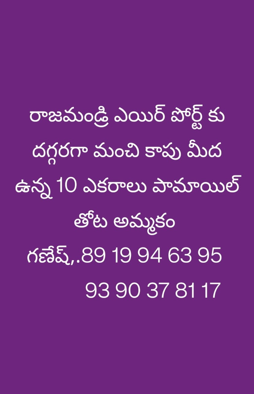 10 Acres Palm Oil Plantation for sale in  Rajahmundry