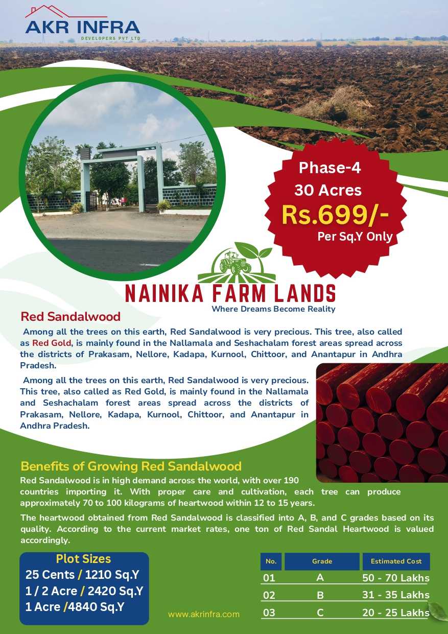 Red Sandal Wood Farm Land For Sale Mundlamuru Nellore