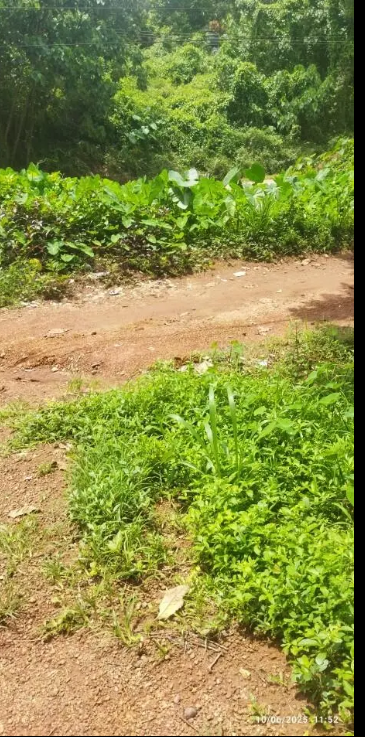 42 Cents Semi Commercial Site For Sale In Heart Of The City Puttur. 