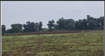 Agriculture land for sale in Yadavulu West Godavari