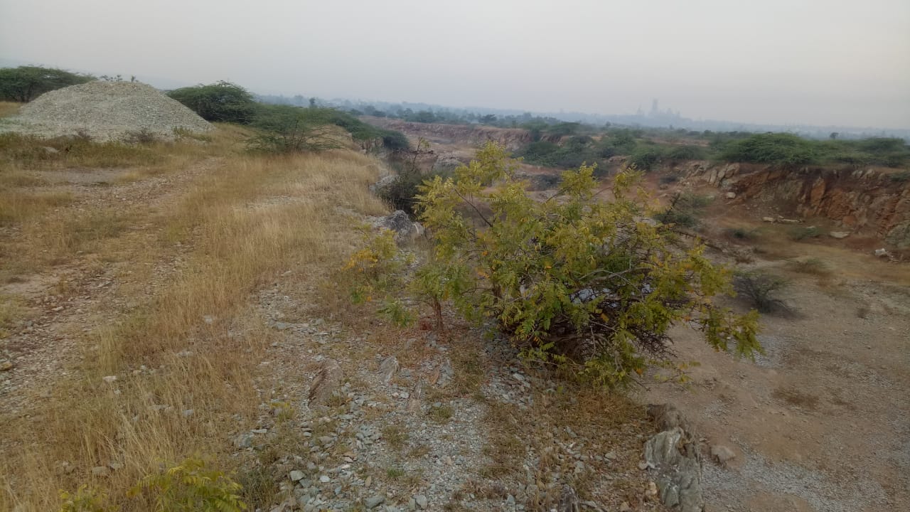 11.16 Acres High-Grade Limestone Land for Sale in Choudapur Village, Bagalkot