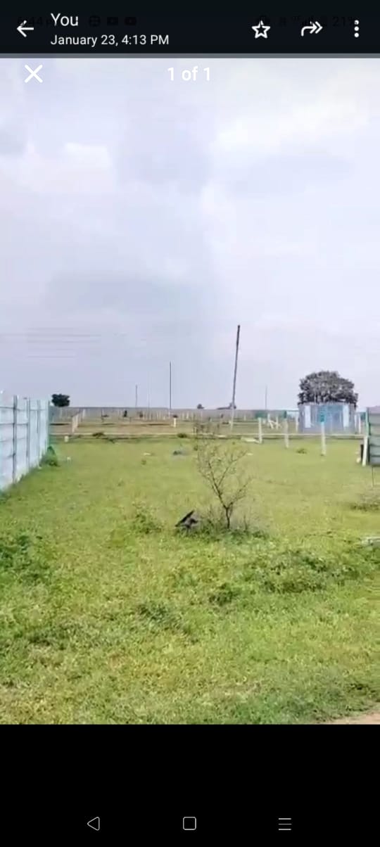Plot For Sale At Surangal  Ranga Reddy