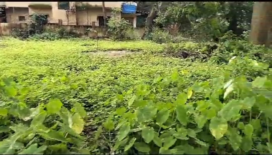Open Plot for sale  in Agassiam