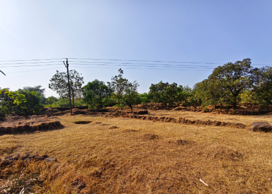 1 Acre Agricultural Land For Sale Near Mumbai Goa Highway
