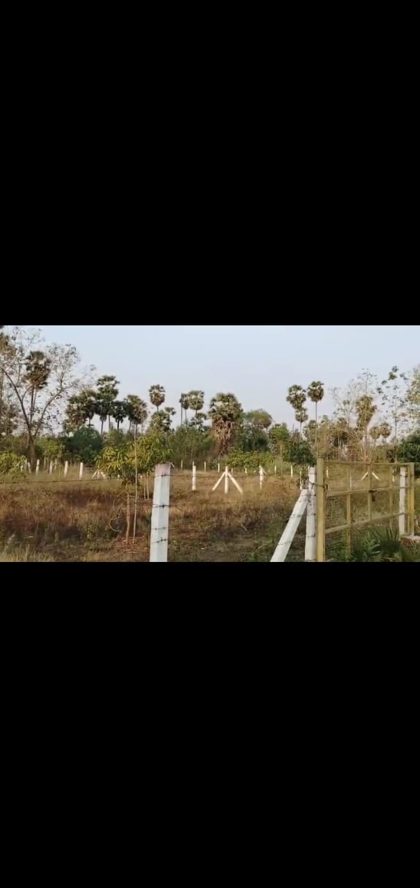 20 Acres land in Pedada  Bhogapuram