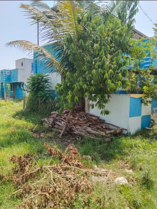 Resale Land For Sale in Veppampattu (21st Century Nagar)
