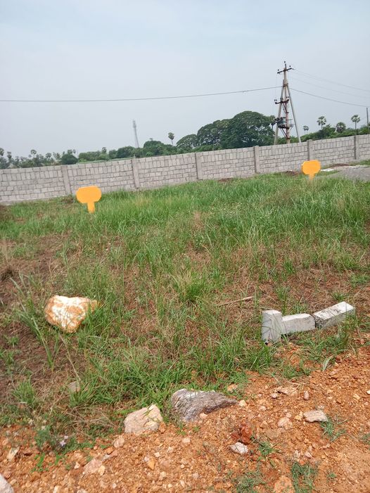 Open Plots for sale Vijayawada Kankipadu Bandaru road in Nepali
