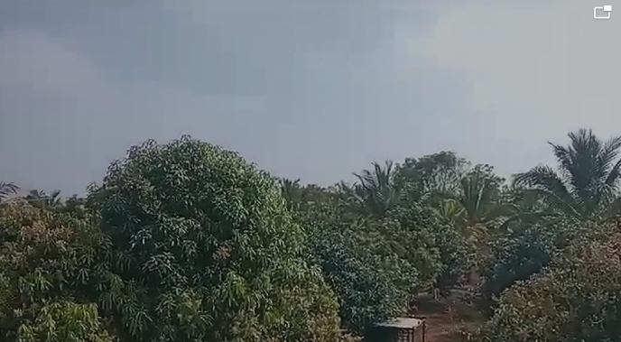 80 Acres Mega Open Plot With Mango Plantation For Sale Near Keesara