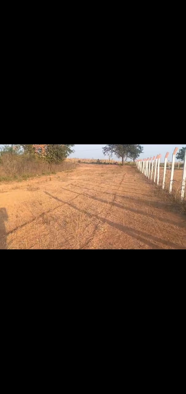 5acres land 60lakhs for acre
