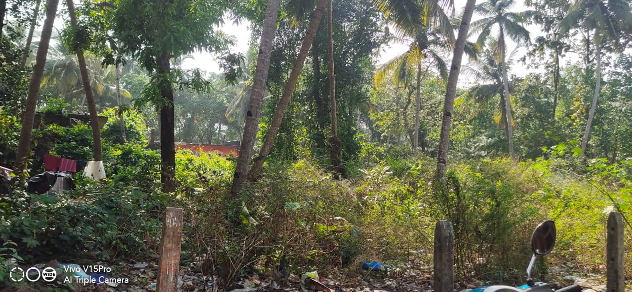Open Plot for sale in Mandrem, Goa