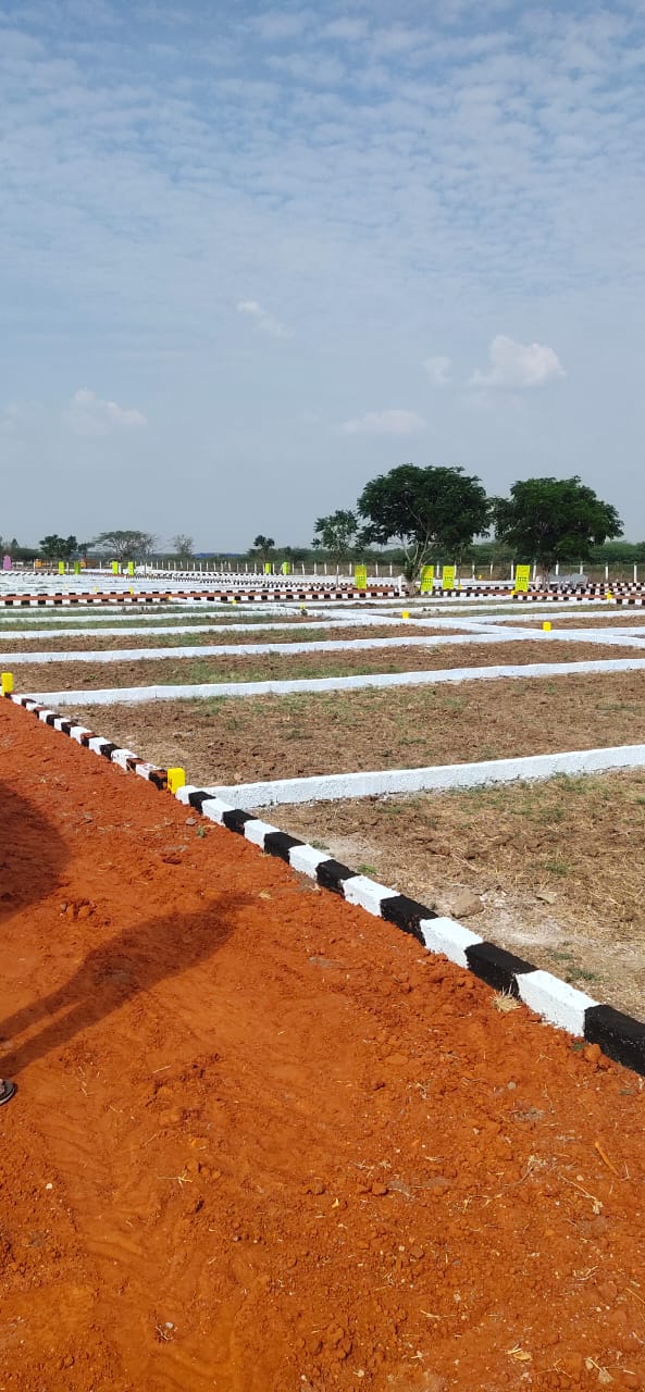 Open Plots for Sale in Vinukonda Near Amaravathi Highway