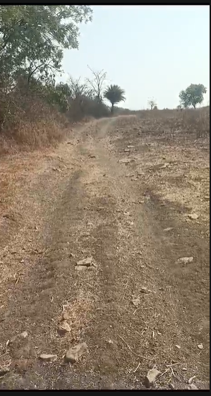 2.5  Acres Farm Land For Sale In Tandur Mandal Vikarabad dist.