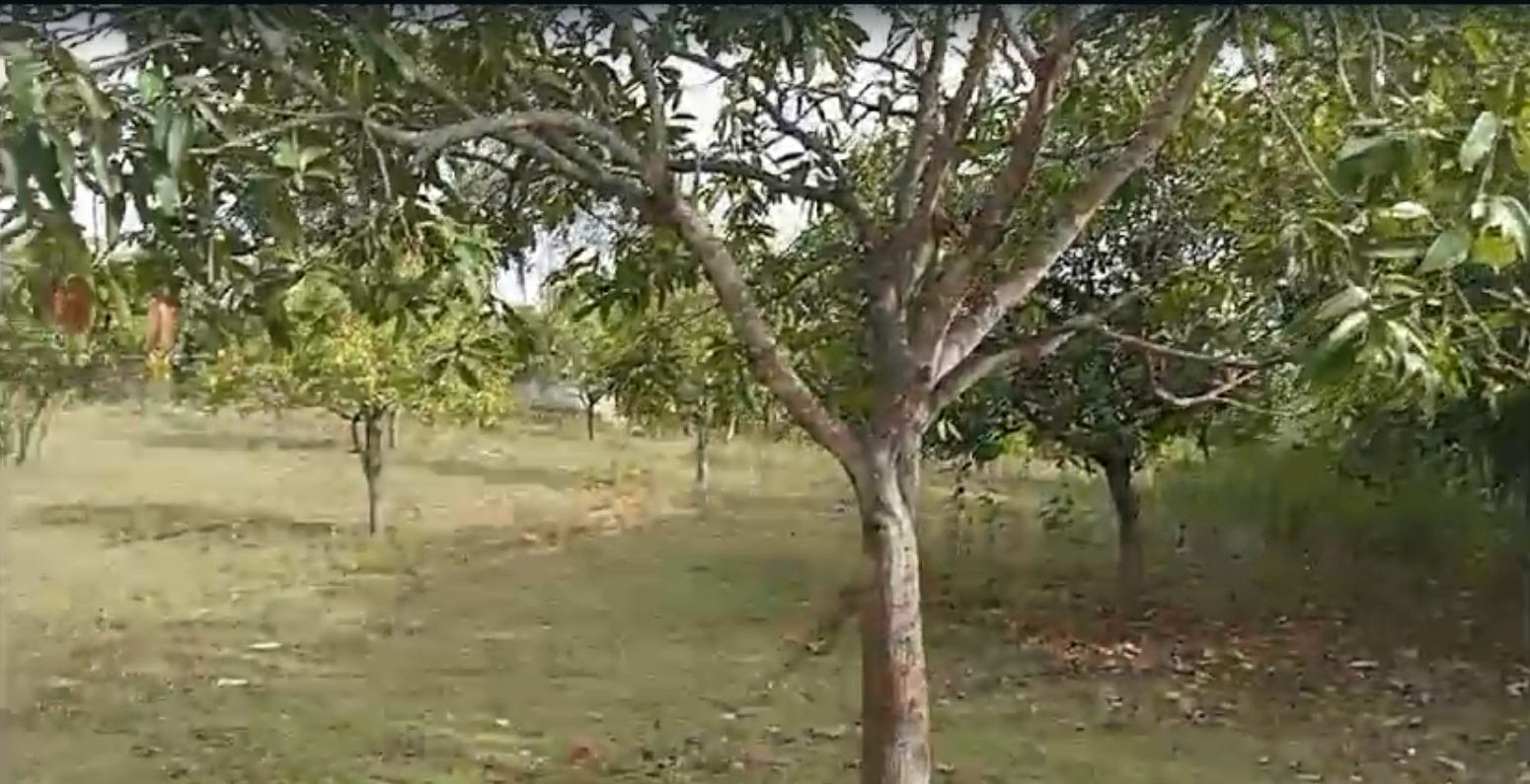 70 acers land for sale Kothakota, Andhra Pradesh