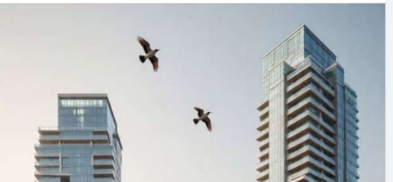 Flats For Sale At Tellapur 