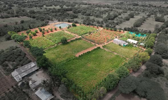 Agricultural Land For Sale At Gauribidanur Bangalore