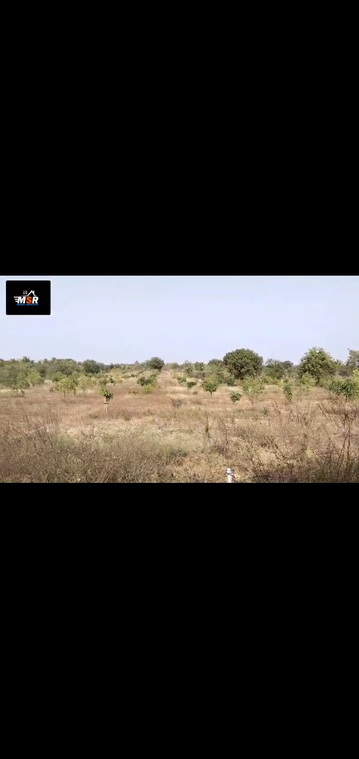 5 acres Agriculture land for sale in Chennaram Warangal