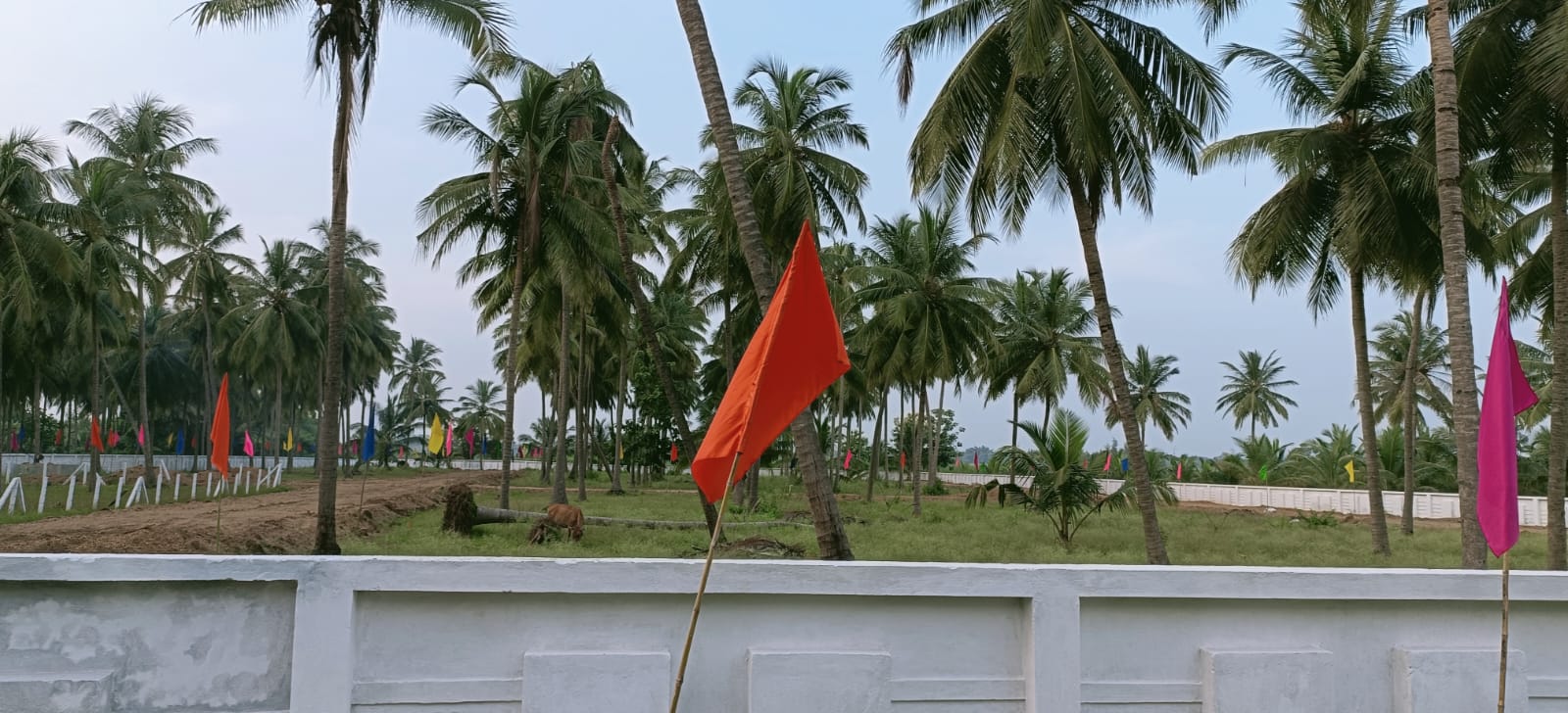 VMRDA Approved  Open Plots for sale near Bhogapuram