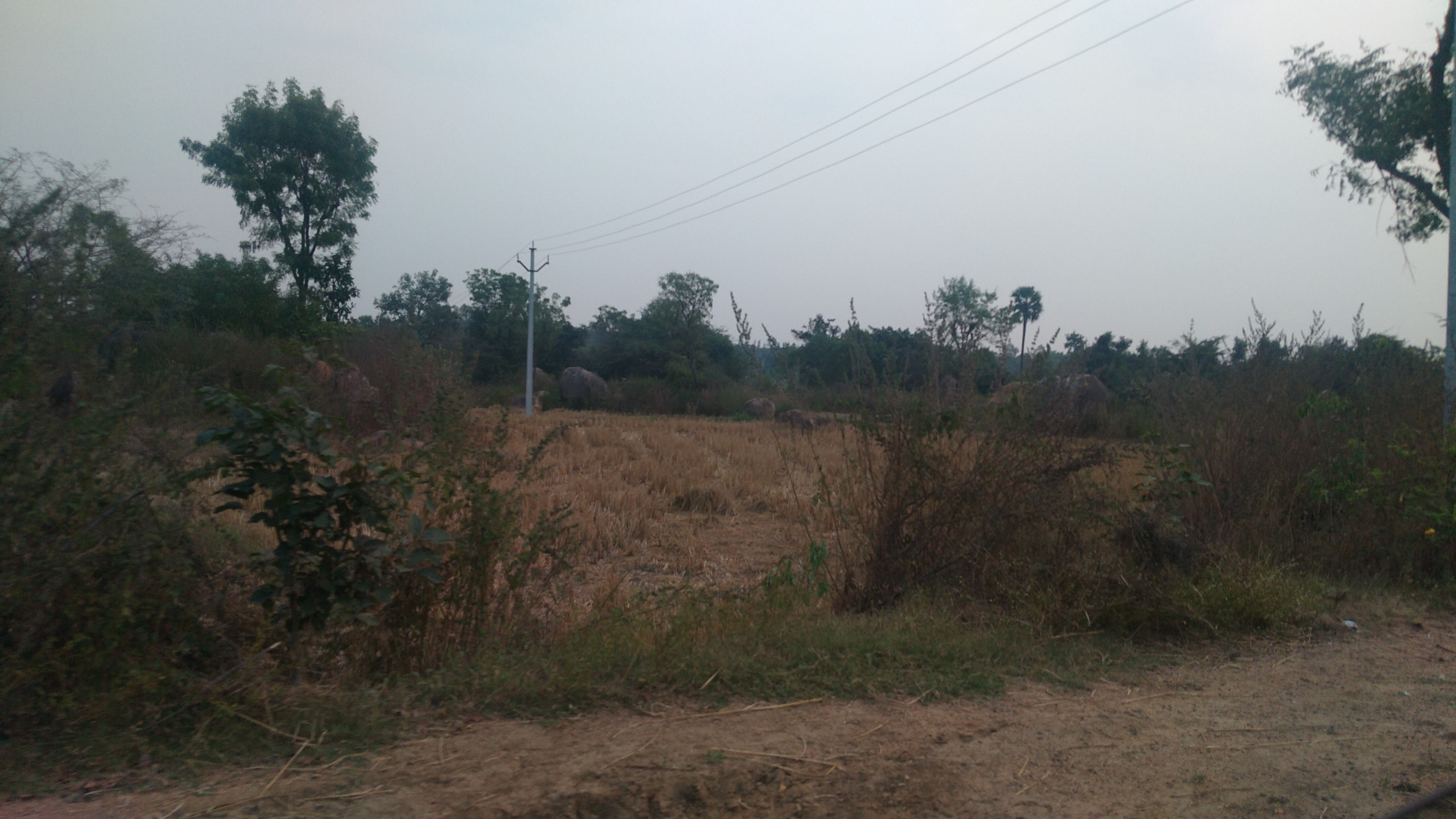 8 ACRES LAND FOR SALE ON MEDAK TO NARSAPUR HIGHWAY