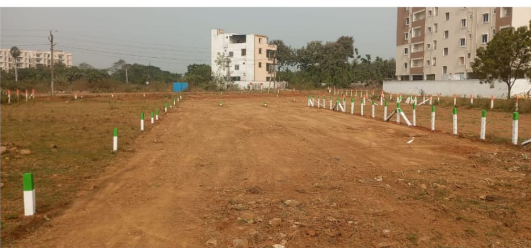 Commercial Land For Sale At Gannavaram