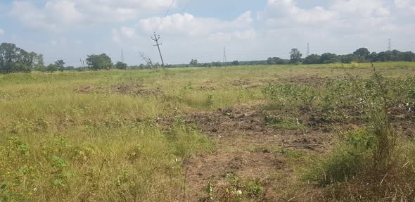 1 Acre Agricultural Land For Sale In Biknur Kamareddy