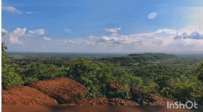 Organic Farm Land For Sale In Vikarabad