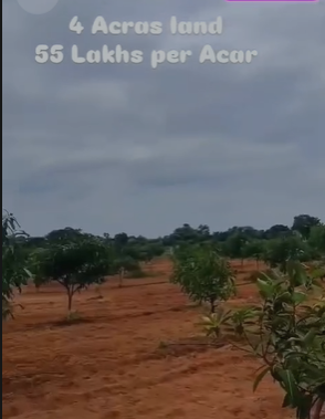 4 Acres Mango Garden & Guest House For Sale At Rajapet