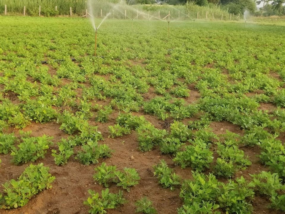 Agricultural Land for Sale on Srisailam Highway