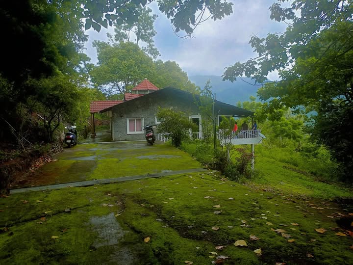 2 Acres Extent Tea garden with villa For Sale In Ooty Tamil Nadu