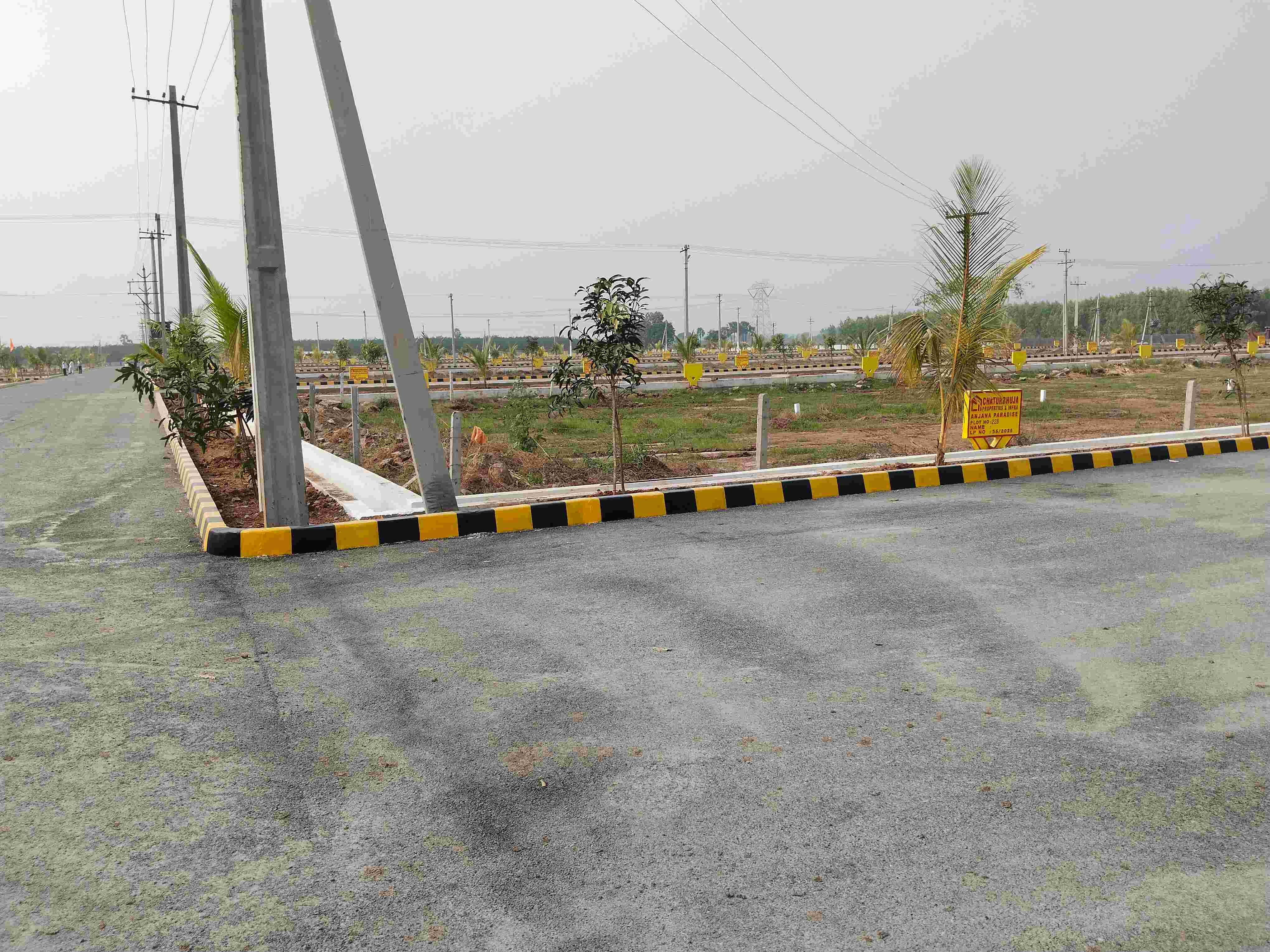 Royal Ready to costruct  CRDA layout at Paritala