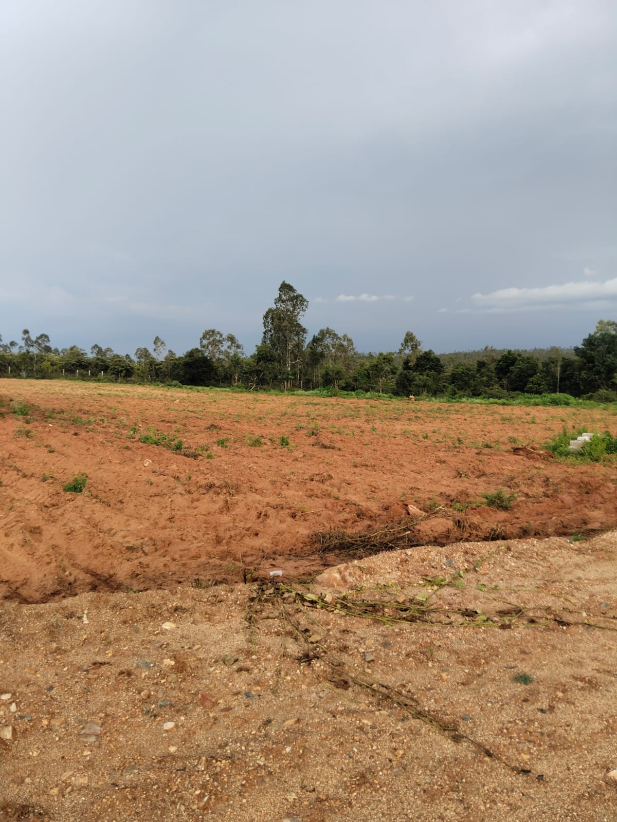 Land for Sale in Kaniyanahundi Gate, Mysore